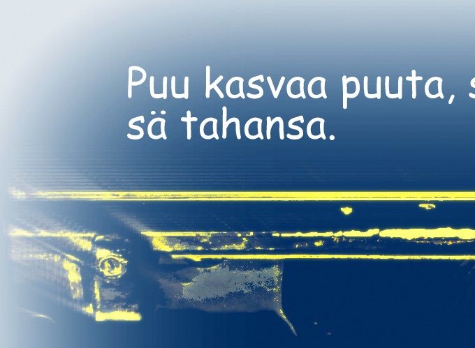 22.11.2019
