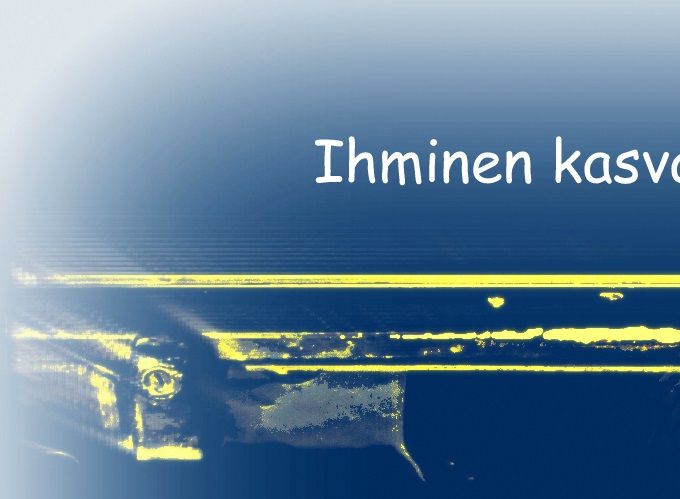 26.11.2019