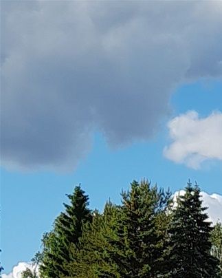 Samuli Parosen RunoRingin Sauli Kohtala, Lea Halonen ja Milla Sajaniemi lausuivat rinkiläisten perhosaiheisia runoja.